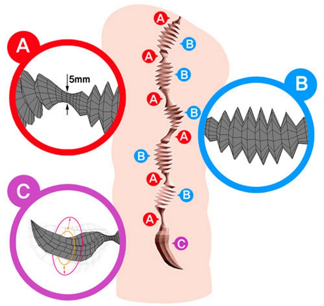 ribbels-tong-ggo